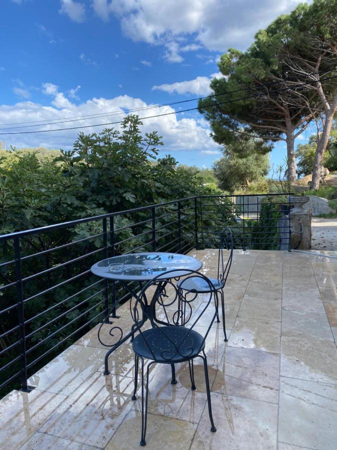 Home Sweet Home 2 Pieces 42 M2 Chambre, Salon, Cuisine, Grande Terrasse, Parking Proche Centre Ville Et Mer Bastia  Zewnętrze zdjęcie